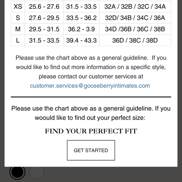 Gooseberry Intimates NWT Women's Black Lace Bra - Picture 4 of 4